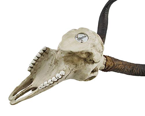 Veronese Design African Kudu Antelope Skull Wall Hanging Cool Twisted Horns #TOP3