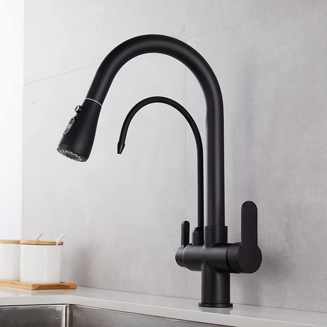 Rigwell Lifetime Table Top/Countertop Mounted Kitchen Sink Mixers Pull Out Mixer with Inbuilt Provision for Undermount Water Purifier Tap Matt Black Color(RL-SM-PORO) (B0BM3XCLZ8) Amazon Price History, Amazon Price Tracker