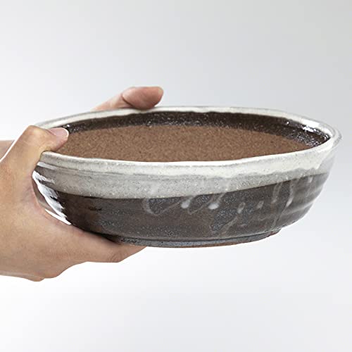 Wazakura Shigaraki Series Handmade White Stripe Glazed Ceramic Bonsai Pot With Drainage Hole, 8.2 (210 Mm) Made In Japan, Garden Training Container, Flower Planter, Succulent Bowl - Big Size #TOP5