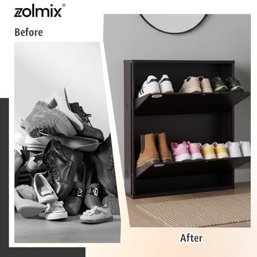 Image of ZOLMIX 2 Shelves Shoe Rack for Home with Door & Cover, Mild Steel Shoe Stand with Shoe Cabinet, Shoe Organizer Rack,Slippers,Shoe &Chappal Storage, Wall Mounted & Shoe Stand (Brown)