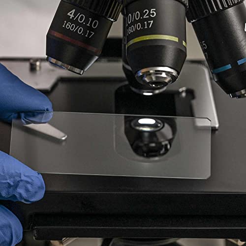 Hsl Microscope Slides And Covers,24X24Mm Square Cover Glass 100Pcs And 50Cps Blank Ground Edge Glass Slides For Monocular Binocular Trinocular Microscope Lab Coverslips Cover Slips Kids Adults #TOP4