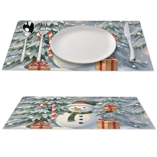 Sets de table en PVC lavables pour protéger la table des taches et chaleur - 2