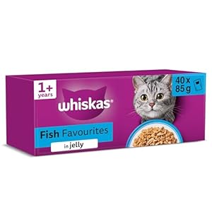 WHISKAS Adult Wet Cat Food in Jelly 40x85g Fish Favourites