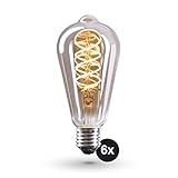 TECHNISCHE DATEN: E 27 SOCKEL / 4 WATT / 360 LUMEN / Dimmbar / Warmweiss / silbrig-grau gefärbte Birne / rustikal industrial landhausstil look. Abmessungen: siehe Artikelbeschreibung