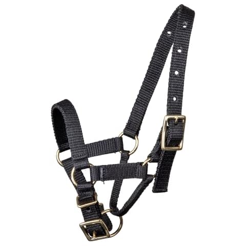 WALDHAUSEN Alpaca Headcollar Size L Black Cover