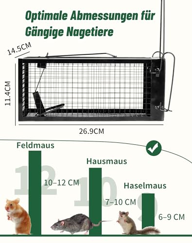 Lebendfalle Mausefalle XXL 2er Rattenfalle– Wiederverwendbare Mäusekäfig Falle für Innen & Außen, Tierfalle ohne Verletzung, Effektive Lebendfalle für Haus & Garten