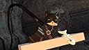 Thumbnail 16