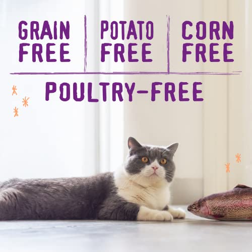 Stella & Chewy's Raw Blend Premium Kibble Cat Food – Grain Free, Protein Rich Meals – Wild-Caught Fish Recipe – 2.5 lb. Bag - image 4