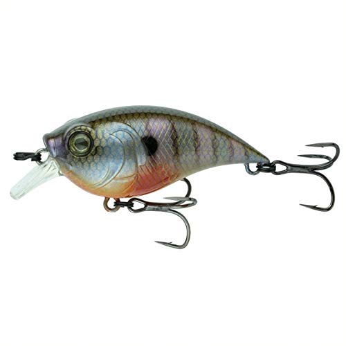 6th Sense Curve 55 Finesse Squarebill Crankbait (Bluegill Spawn)