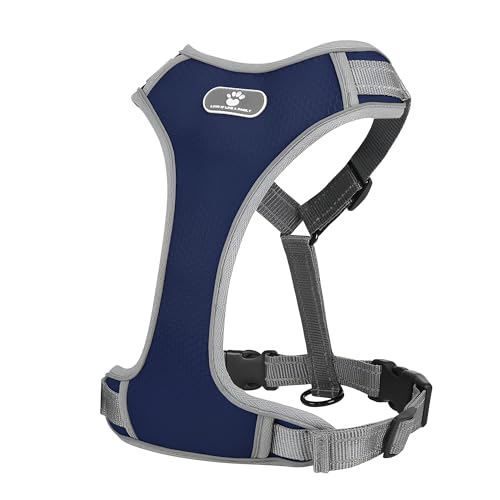 [Miflaier]pn[lX ˃e[vt ^ ^ Sy ȒPbN ԔˈS \tgʋCbV ߉\ hf ϋv Up xXg^ yʑ