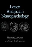 Lesion Analysis in Neuropsychology
