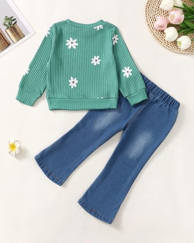 Image of Baby Toddler Girl Clothes Outfits Kids Sweatshirt Jeans Set Denim Pants Little Girls Clothes Toddler Outfit for Girls