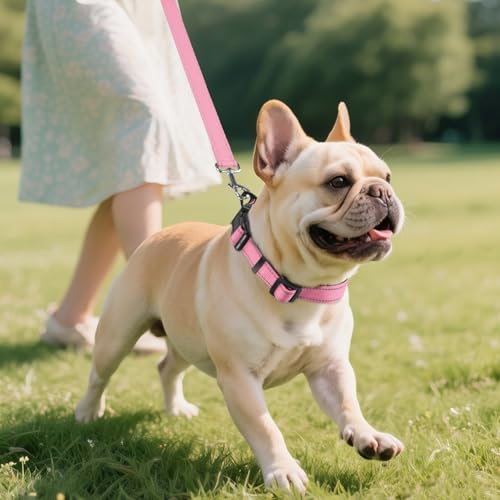 Image of Joytale Reflective Dog Collar, Adjustable Neoprene Padded, Pink M | Breathable Nylon for Medium Dogs, No Chafing on Walks and Backyard Play, All-Day Comfort, Metal D-Ring, Night Safety