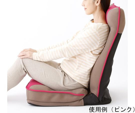 座椅子 整体師 推奨 健康 ストレッチ座椅子 ブラウン Amazon｜整体師さんが推奨する健康ストレッチ座椅子 ブラウン｜座椅子