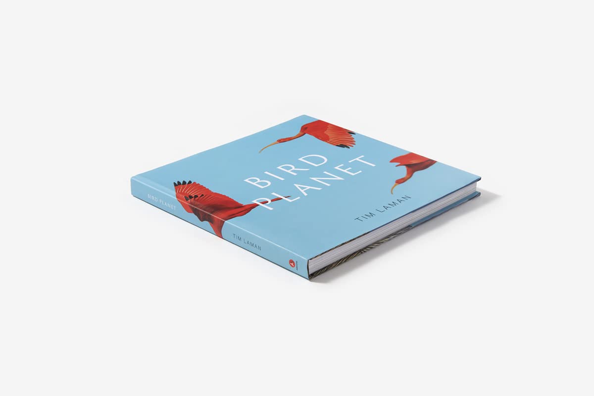 Bird Planet: A Photographic Journey