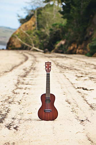 Kala MKC Ukulélé - Les Beatles, Paul McCartney, John Lennon, RIngo Starr, George Harrison Kala MKC Ukulélé – Image 7