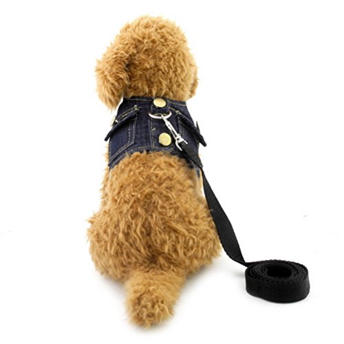 ZUNEA Pettorina per cani di piccola taglia con pettorina e guinzaglio in morbido denim, regolabile, in rete, imbottita, blu, taglia M