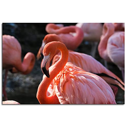 Décoration murale Flamant rose Bird Freedom pour la maison 1 panneau de décoration sans cadre 30,5 x 20,3 cm Cover