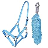 shetty halfter blau Genickstück stufenlos mit Schiebeschnalle verstellbar