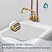 Aolemi Laundry Utility Sink Faucet Wall Mounted Laundry Tub Faucet 3 Inch Center with 2-Handle,NPT3/4 Threaded End,6 Inch Spout Chrome and Brass