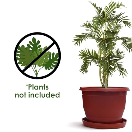 Image of Livzing Plastic Flower Pot with Bottom Tray Set - 12 Inch, 10 Pack, Garden Planters with Drain Holes for Home Plants,Plastic Pots for Indoor and Outdoor Gardening with Drip Tray (Brown)
