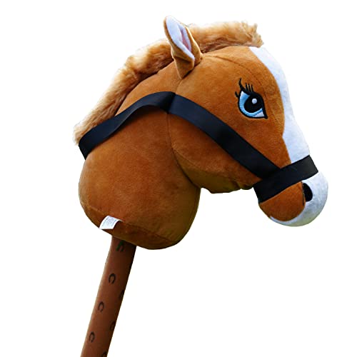 Everything you should know about the hobby horse