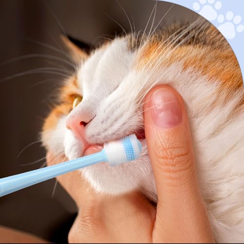 BOHUIZ 3-stück Katzen- und Hunde-Zahnbürste, 360 Grad Reinigung, Weiche Borsten, Pink, Blau, Grün
