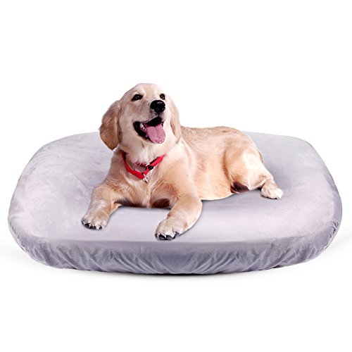 joicyco dog bed