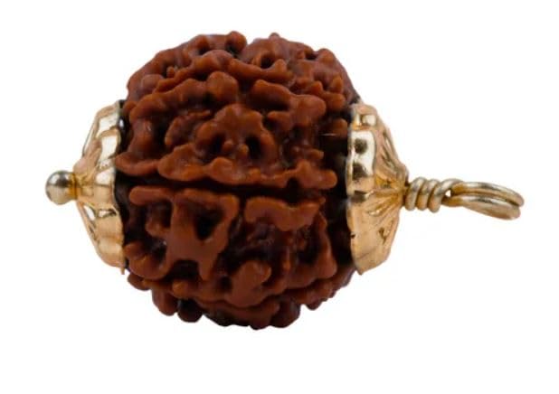 AstroCart Pure 6 मुखी रुद्राक्ष नेपाल Beech Brown Oval Shape Loose Beads with Capping or Dori Six Face Rudraksha Original Certified By Lab 6 Mukhi Rudraksha for Puja छह मुखी रूद्राक्ष  (B09NBM4GB1) Amazon Price History, Amazon Price Tracker
