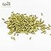iSpice - GROUND FENNEL SEED POWDER 6oz (170g) (Ground)