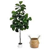 LuceAlberi Artificial Fiddle Leaf Fig Tree 6FT - Large Fake Tree with White...