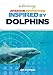 Awesome Innovations Inspired by Dolphins (Biomimicry)