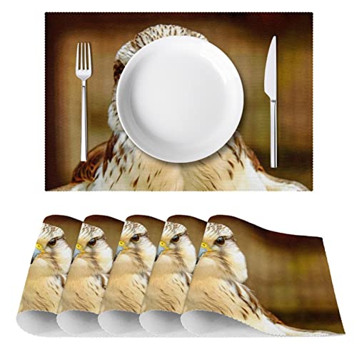 Sets de table lavables et résistants à la chaleur Gyrfalcon en tissu Oxford robuste - 3