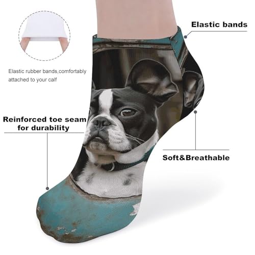 5-Pack Ankle Socks for Adult, Boston Terrier Low Cut Sock, Breathable Soft Casual Athletic Socks3