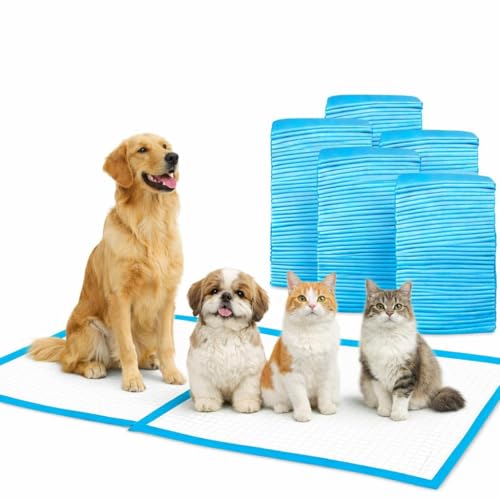 Image of Patch & Marshall Pet Training Pads with Adhesive Floor Tape,Heavy Duty,Rapid Dry & Absorbent Core, Suitable for Puppies,Small,Medium,Large Dogs , (XL - Fast Quilt - 20 Pcs)