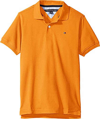 Tommy Hilfiger Little Boys' Ivy Polo, Russett Orange, 5
