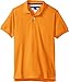 Tommy Hilfiger Little Boys' Ivy Polo, Russett Orange, 5