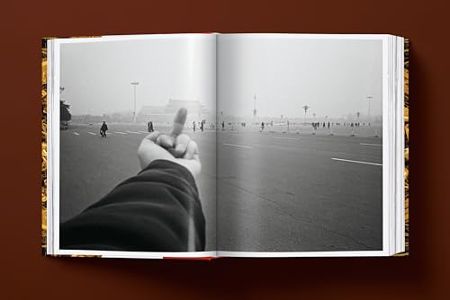 Ai Weiwei Updated Edition comprendre art contemporain simplement - 8