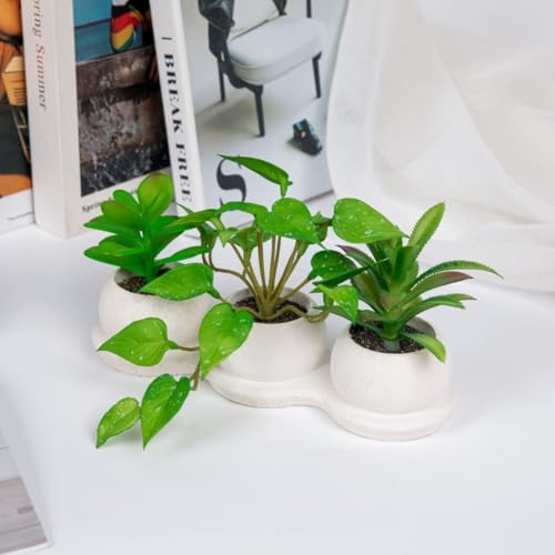 Airbirhom Artificial Succulents Plants Set,Faux Succulents in Pots,Assorted Small Succulent Artificial Indoor Decor for Desk,Shelf,Home,Office,Bathroom,Living Room - Cosy Home Interiors Airbirhom Artificial Succulents Plants Set,Faux Succulents in Pots,Assorted Small Succulent Artificial Indoor Decor for Desk,Shelf,Home,Office,Bathroom,Living Room - Image 3