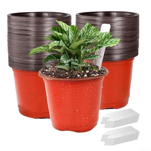 Macetas de vivero de 4 pulgadas con 100 etiquetas para identificación de plantas en jardines domésticos
