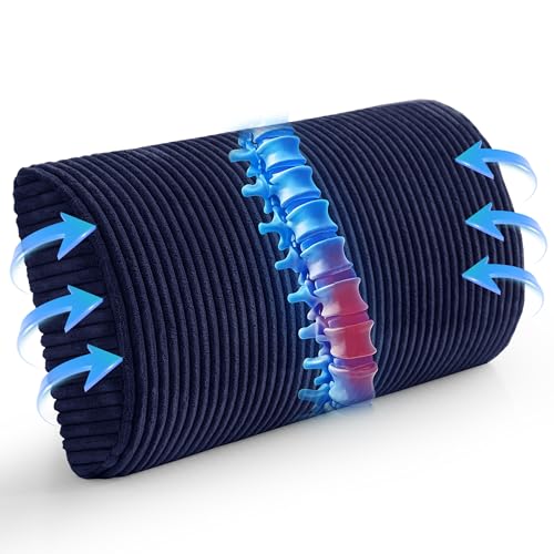 HIGOGOGO Lumbar Support Pillow for Recliner Chair/Accent Chair/Couch, Memory Foam