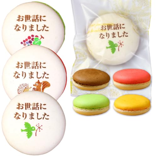 bɂȂ܂ 肪Ƃ }J َq  Mtg 蕨 ސE (30, B: bȂ܂(Btype))