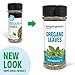 Amazon Grocery, Oregano Leaves, 0.65 Oz (Previously Happy Belly, Packaging May Vary)