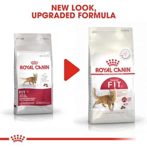 Image of Royal Canin Fit 32 Regular for Adult Cats, 1 Kg, Dry Food, Supports Optimal Nutrient Profile and Healthy Weight