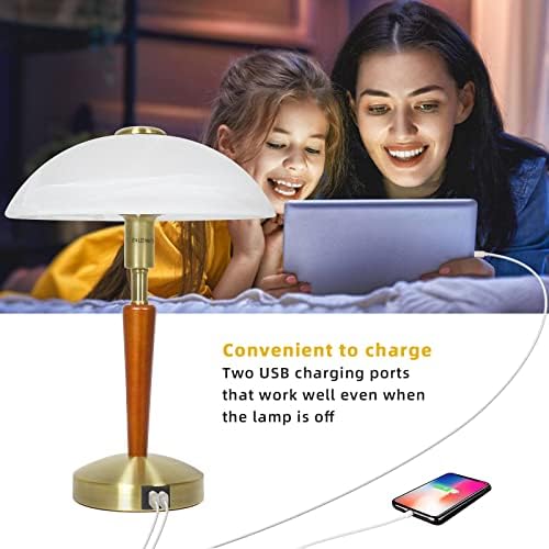 Bedside Lamps, Touch Lamp with 2 USB Charging Ports, Glass Lampshade Table Lamp Light Dimmable Desk Lamp for Bedroom, Living Room, Reading, Studying (Bronze)