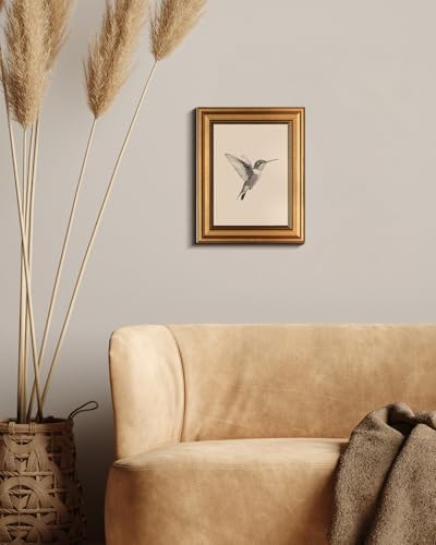 VIYYIEA Vintage Gold Framed Wall Art – Hummingbird Sketch, 8x10 IN — view 6