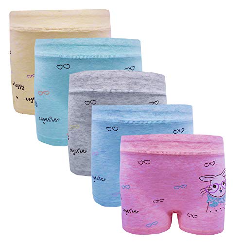 Little Girls Underwear Toddler Panties Cotton Boyshort 5 Pack