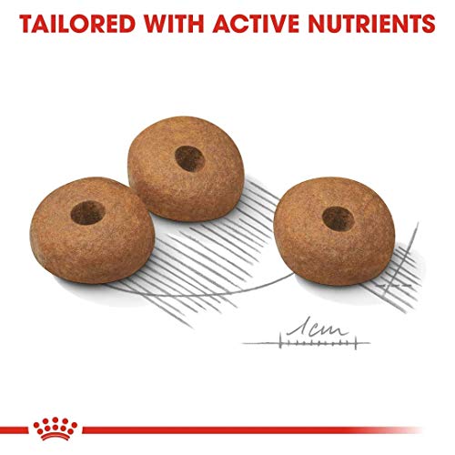 Royal Canin 8kg Mini Adult Light für kleine Hunde