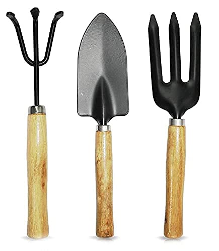 XACTON Gardening Tools Set - 3-Pieces | Gardening Tools Kit | Garden Spectacular | Garden Tool Wooden Handle | Combo of Hand Cultivator, Small Trowel, Garden Fork (B09FKB1W5B) Amazon Price History, Amazon Price Tracker