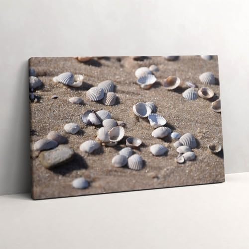 Peinture sur toile coquillages 60x40cm pour illuminer un mur sombre